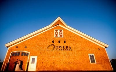 Owera Vineyards (T00750)